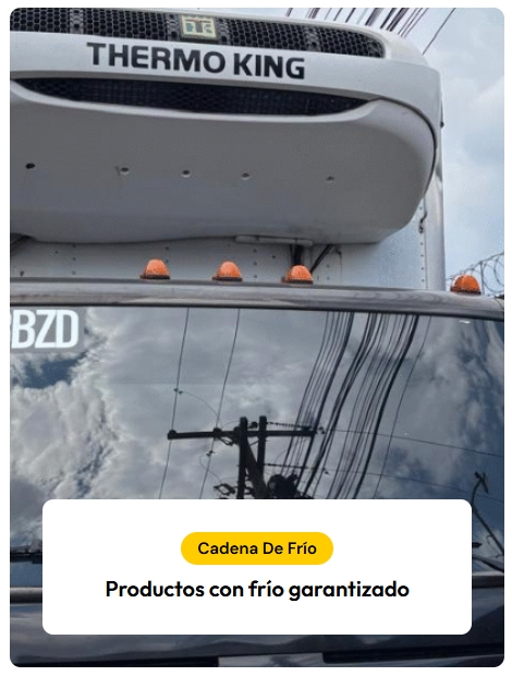 Cadena De Frío